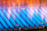Ettrickbridge gas fired boilers